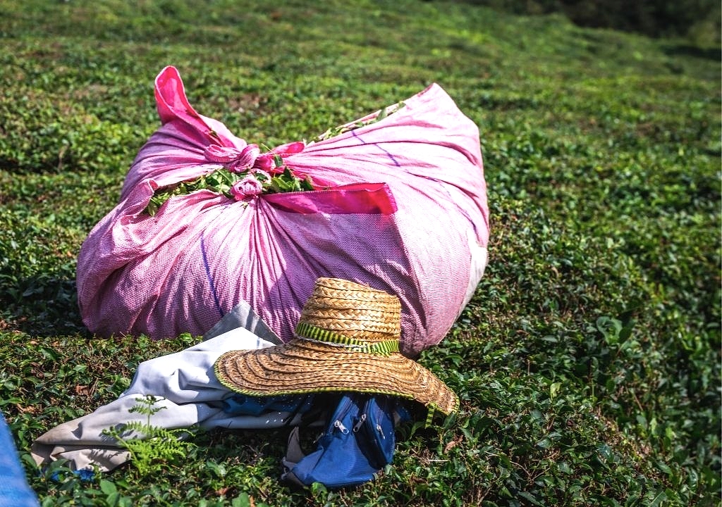 Her Şey Dahil Karadeniz Turları: Sadece Anı Biriktirin, Gerisini Bize Bırakın!