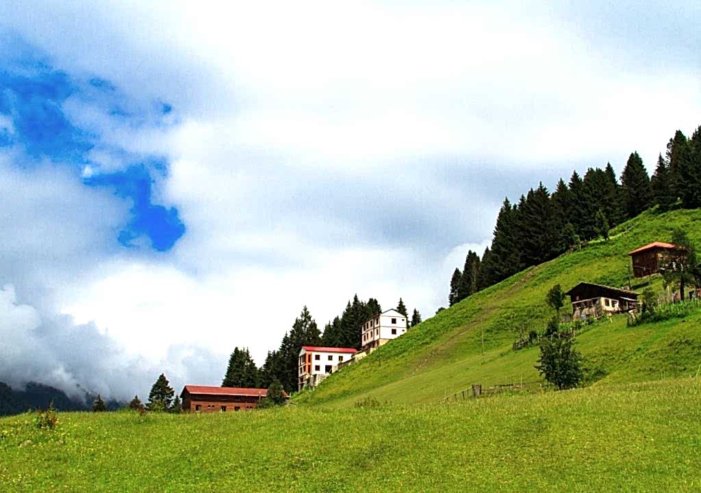 Turistlerin Henüz Keşfetmediği: Doğu Karadeniz’in 5 Saklı Yaylası