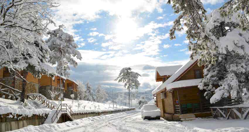 Karlar Altında Yenice Ormanları Turu