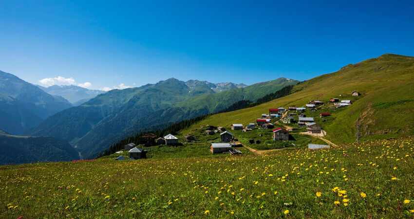 Şavşat Meydancık Macahel Artvin Yaylaları Turu 