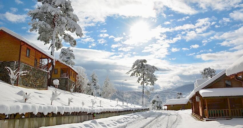 Karlar Altında Yenice Ormanları Turu