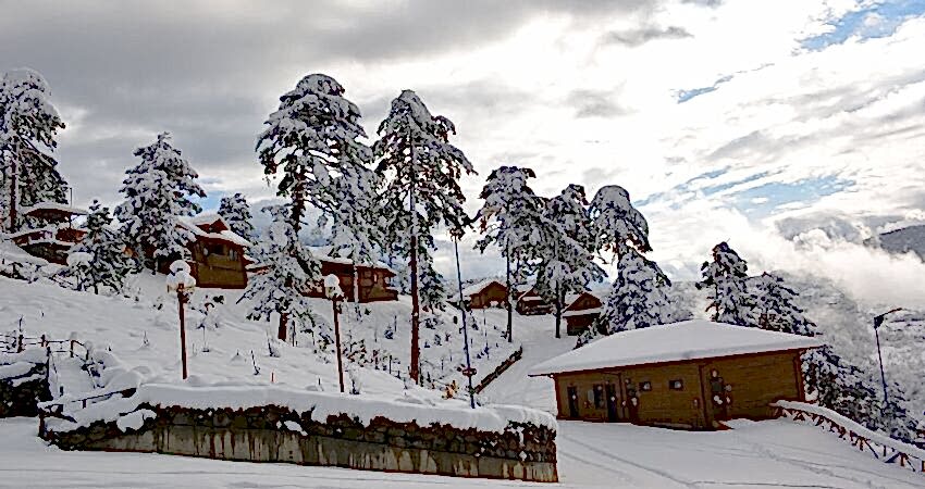 Karlar Altında Yenice Ormanları Turu