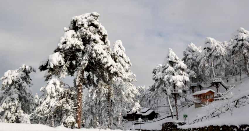 Karlar Altında Yenice Ormanları Turu