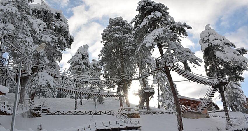 Karlar Altında Yenice Ormanları Turu