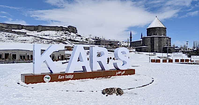 İstanbul Çıkışlı Uçaklı Van Kars Erzurum Turu (Kars Erzurum Ekspresi ile Tren Yolculuğu)