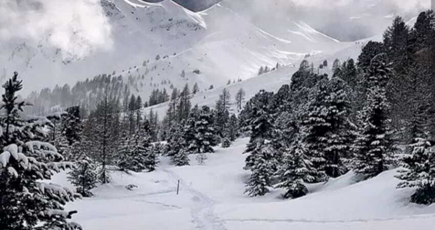 Karlar Altında Şavşat Turu