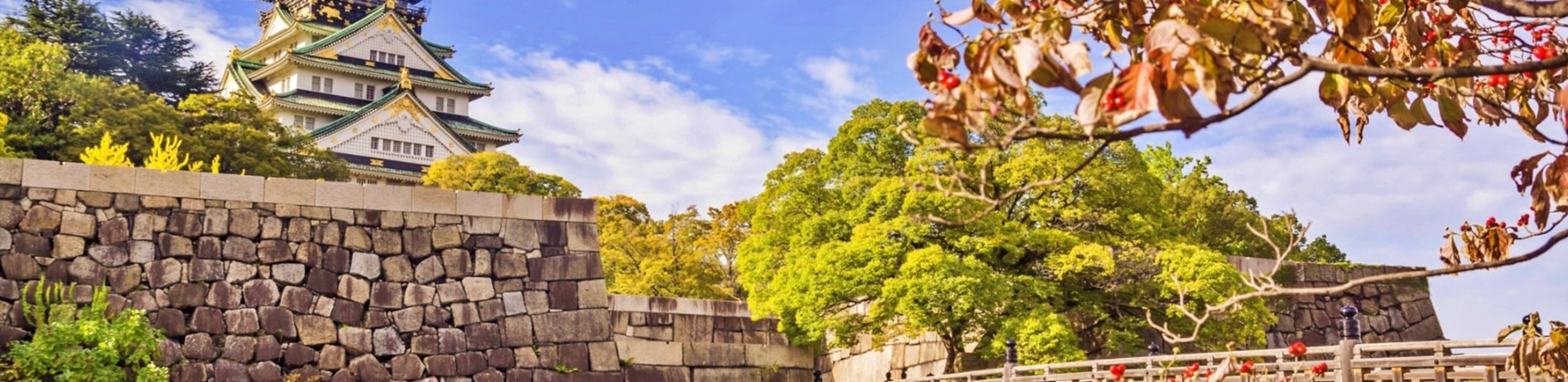 Elit Japonya Kore Turu THY ile 7 Gece Ekstra Turlar Dahil Sakura Dönemi