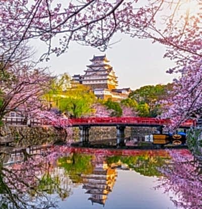 Elit Japonya Kore Turu THY ile 7 Gece Ekstra Turlar Dahil 23 Nisan Dönemi