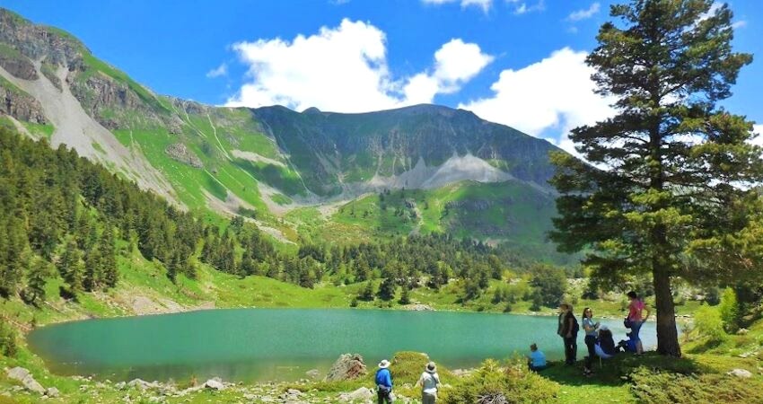 Şavşat Meydancık Macahel Artvin Yaylaları Turu 